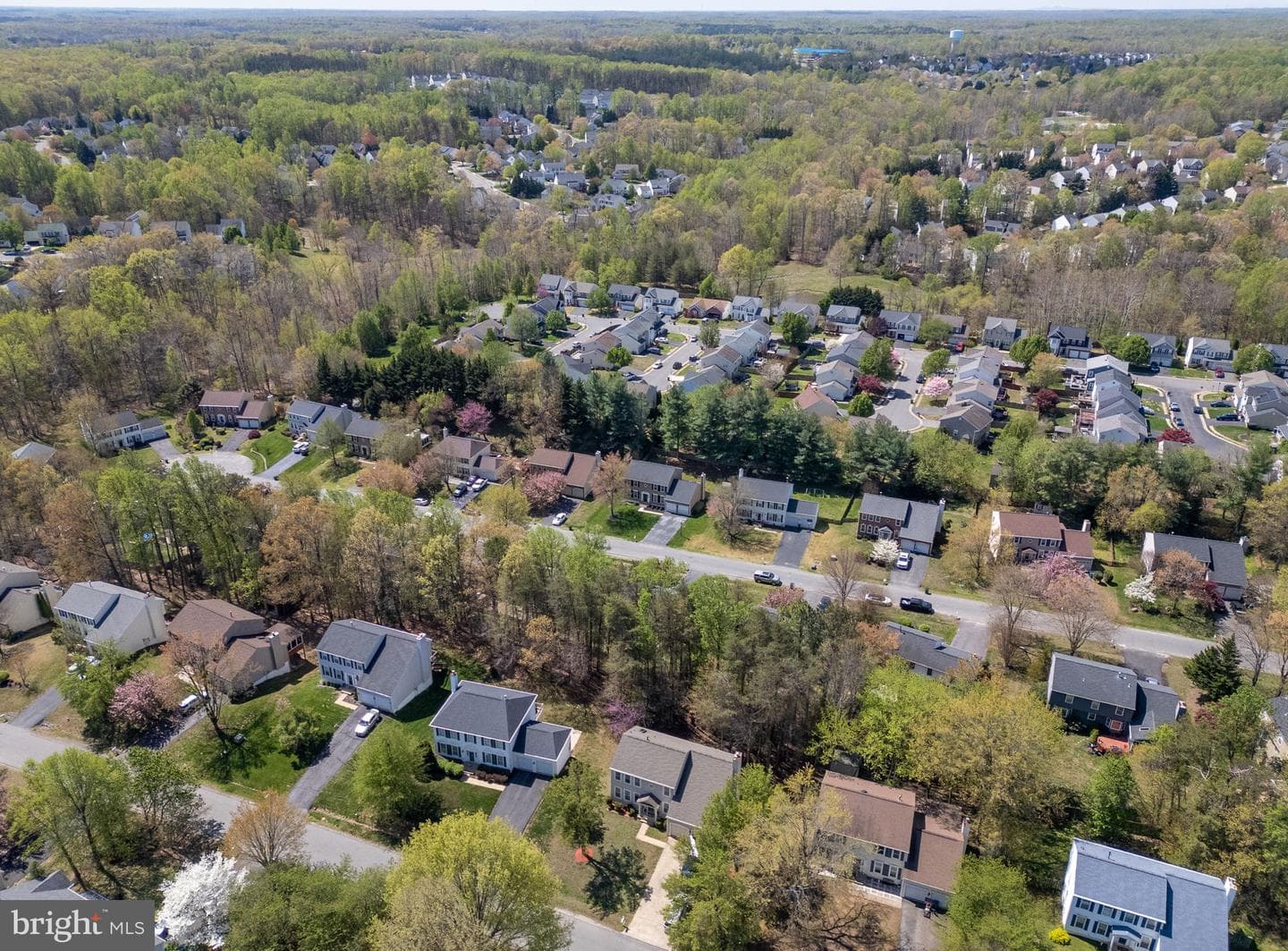 58 Blossom Wood Court photo 55