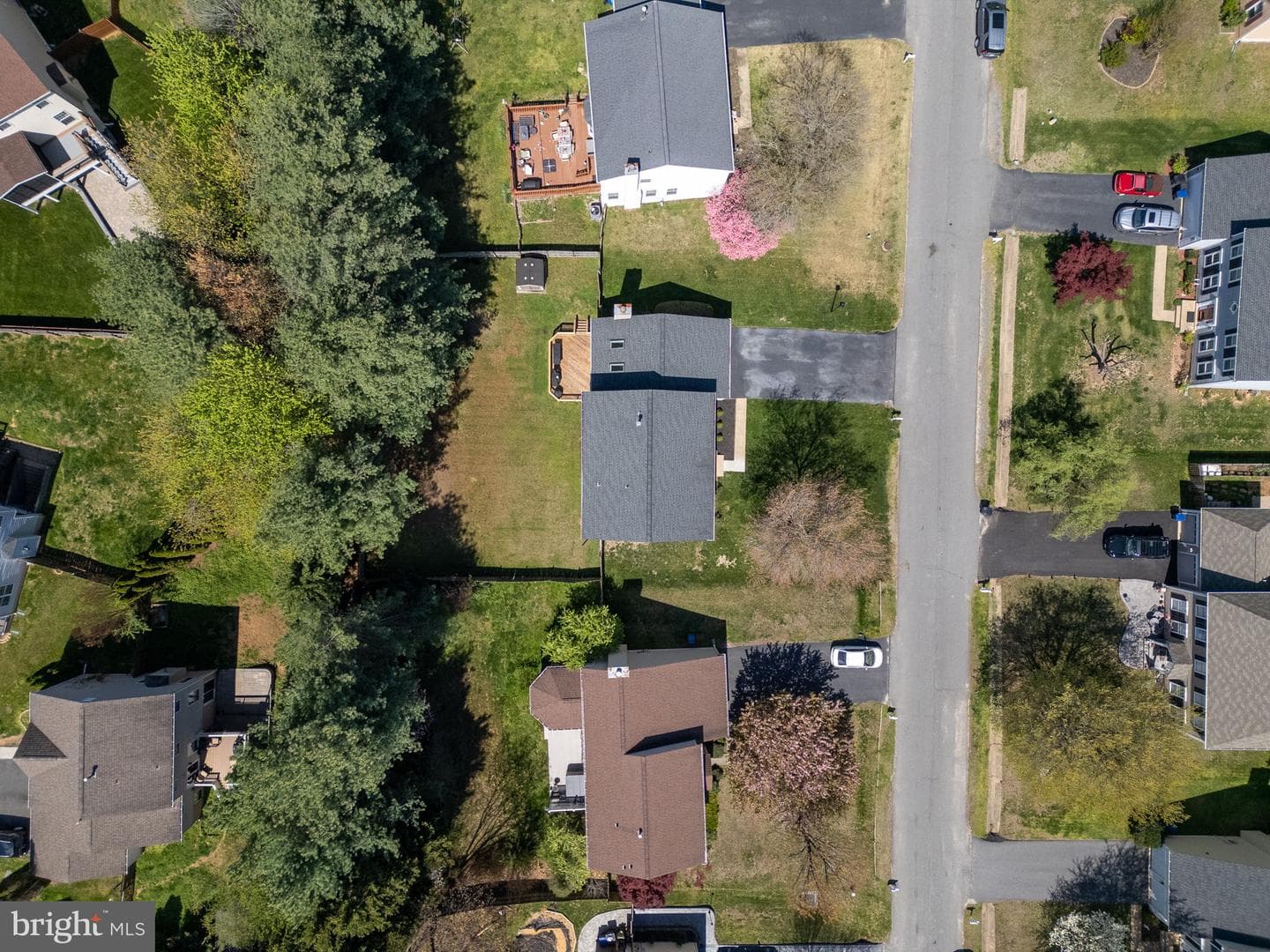 58 Blossom Wood Court photo 56