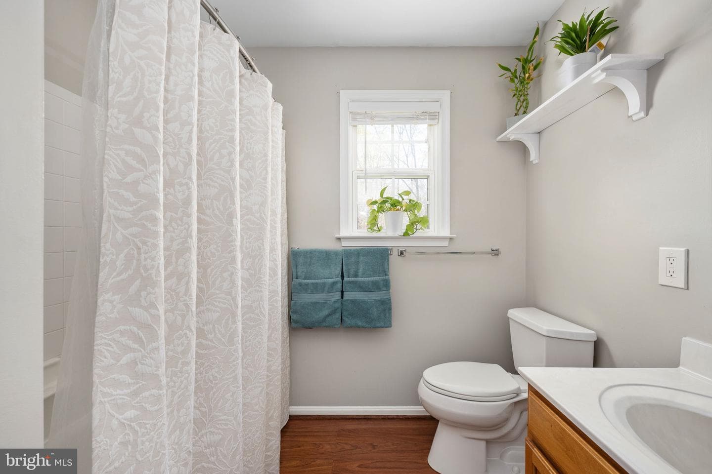 19 Acacia Court photo 25
