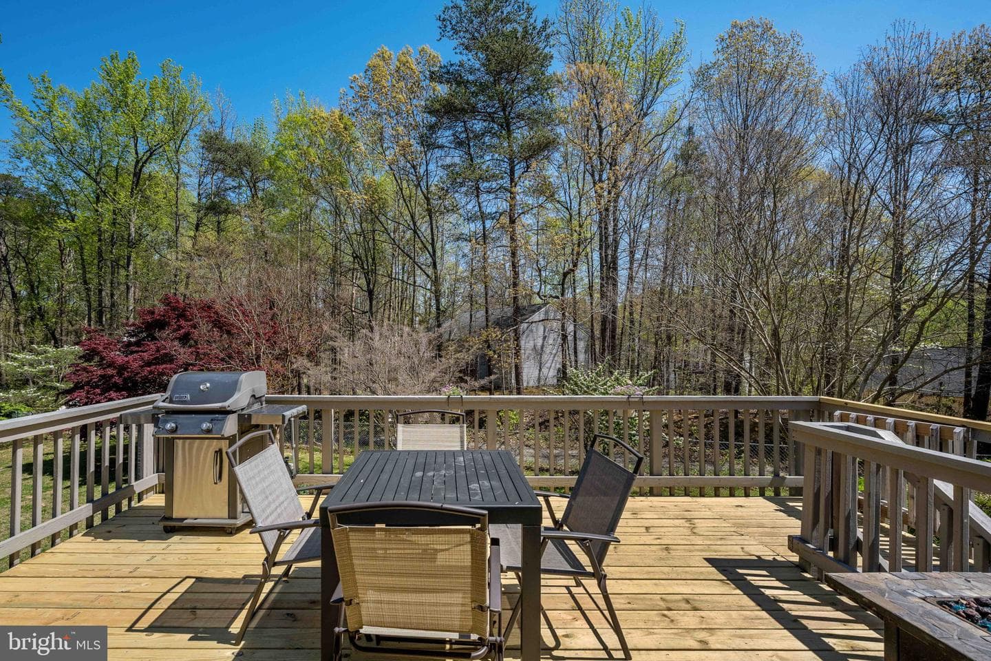 19 Acacia Court photo 46