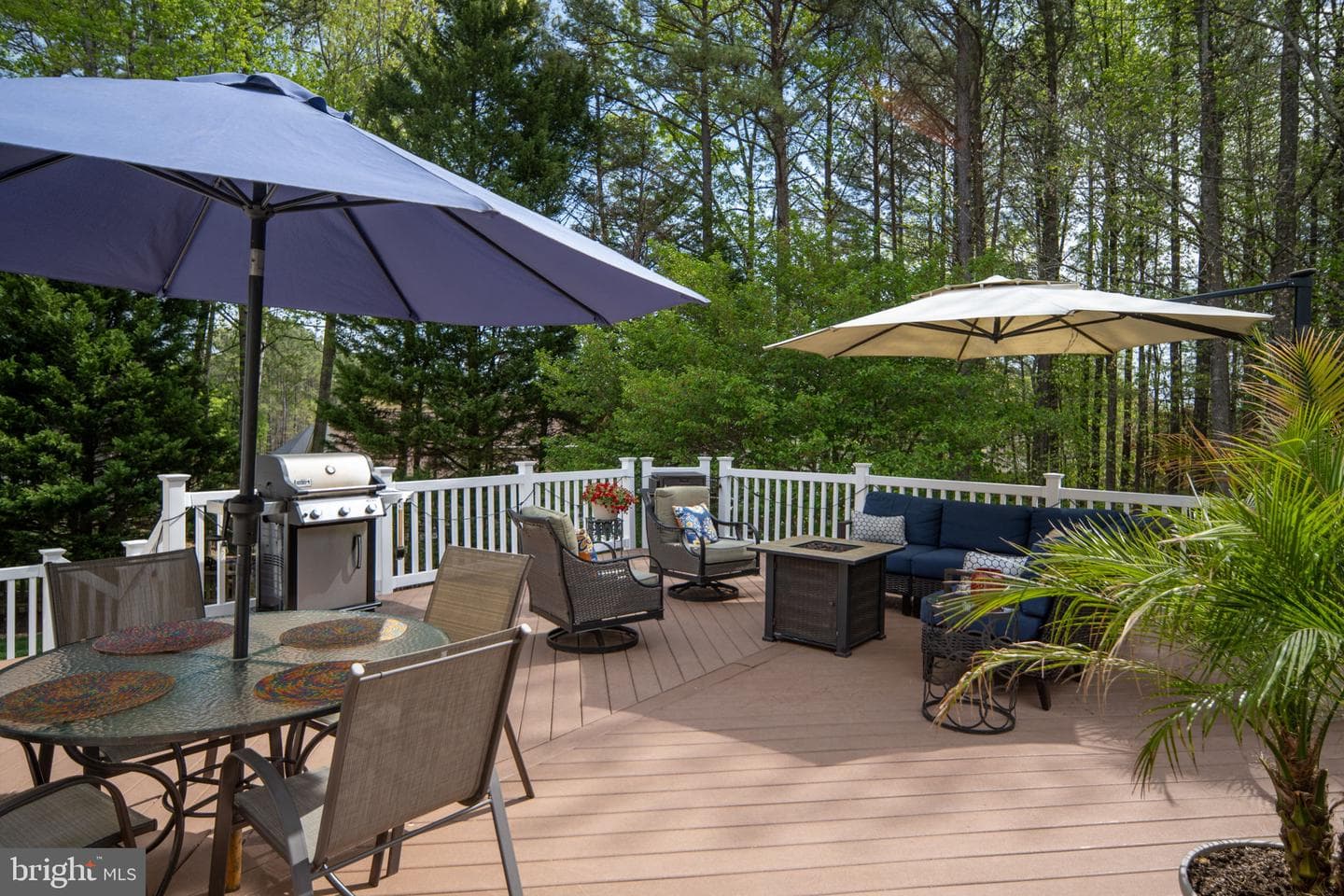 5 Bullrush Court photo 78