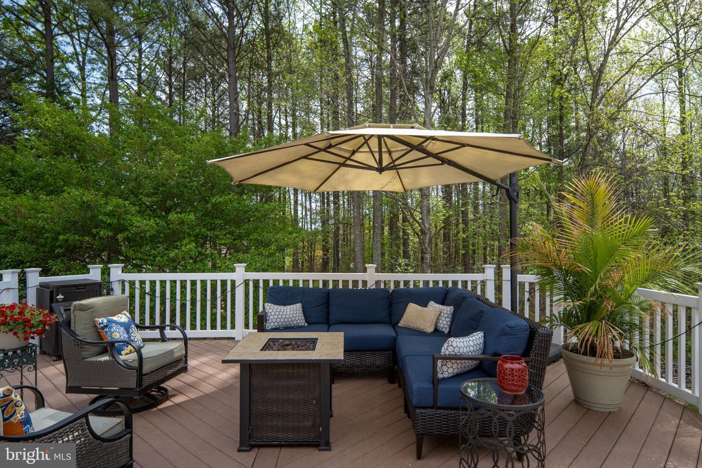 5 Bullrush Court photo 79