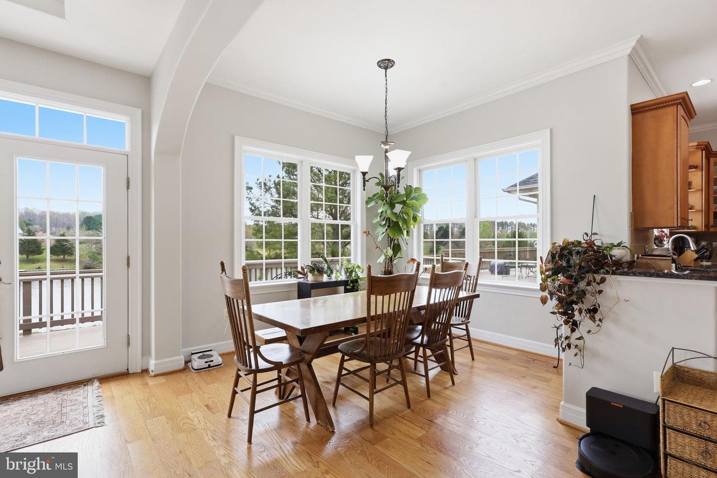 21 Meridan Lane photo 24