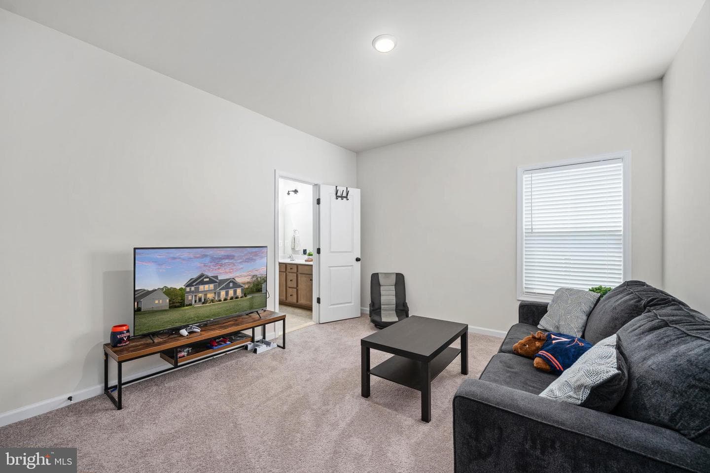 310 Liberty Hall Drive photo 40