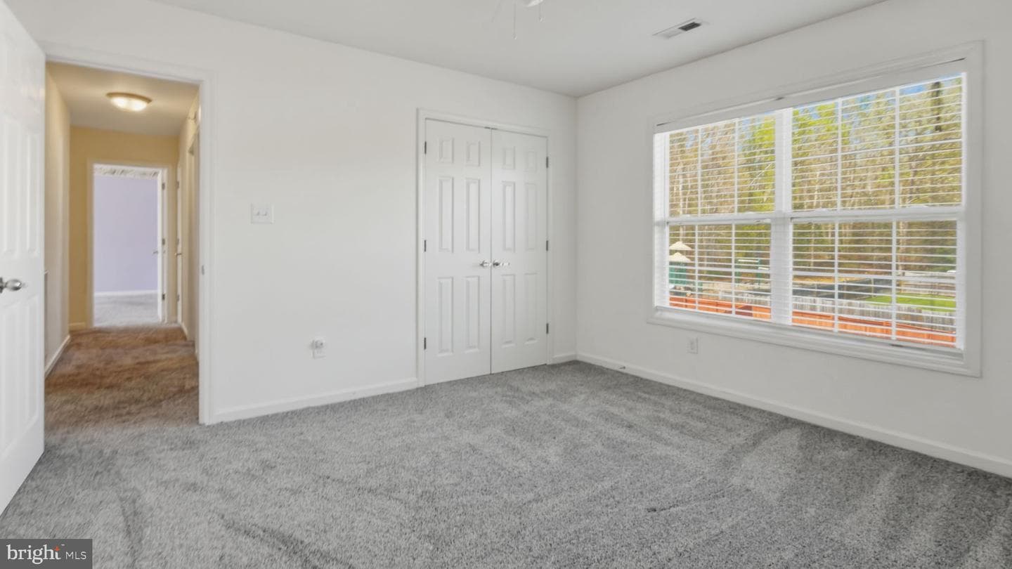 14 Grassland Street photo 15