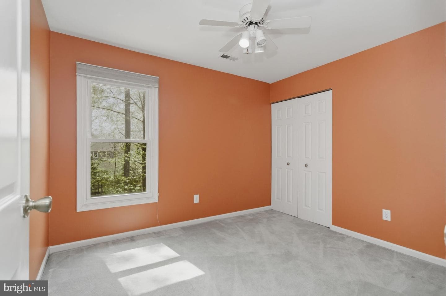 57 Briarwood Drive photo 31