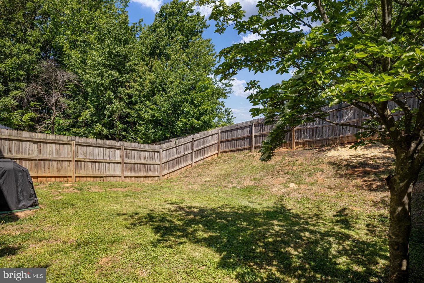 6 Regency Drive photo 41