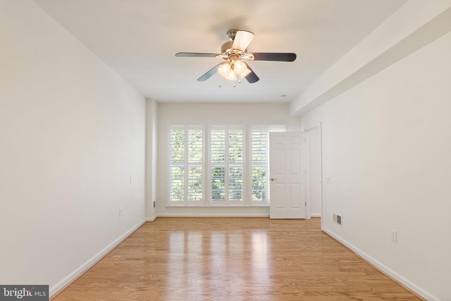 33 Denison Street photo 32