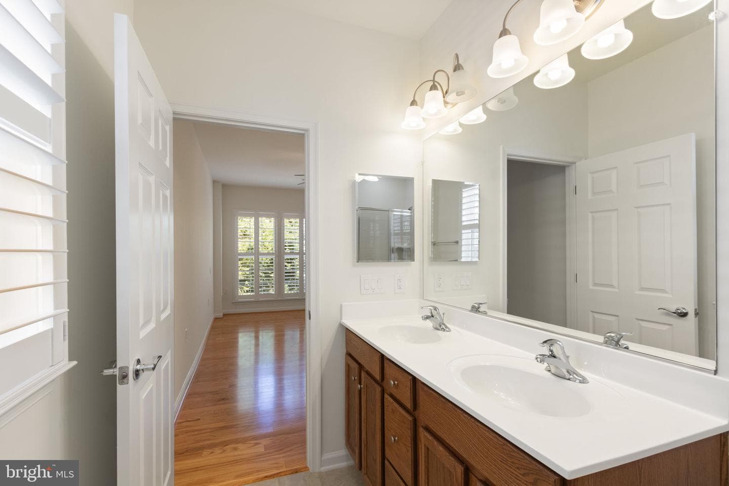 33 Denison Street photo 34