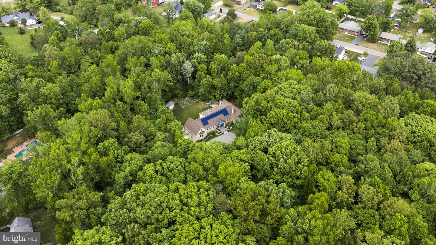 40 Holly Tree Lane photo 7