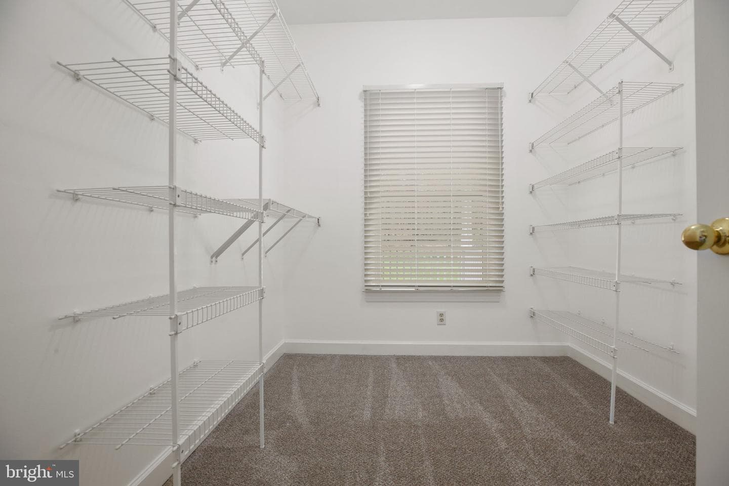 839 Queen Anne Drive photo 46