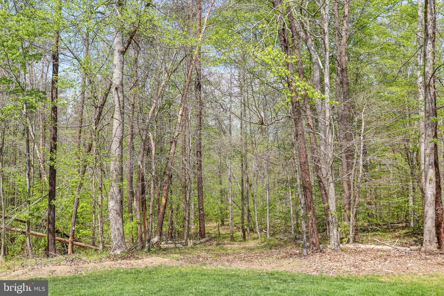 839 Queen Anne Drive photo 86