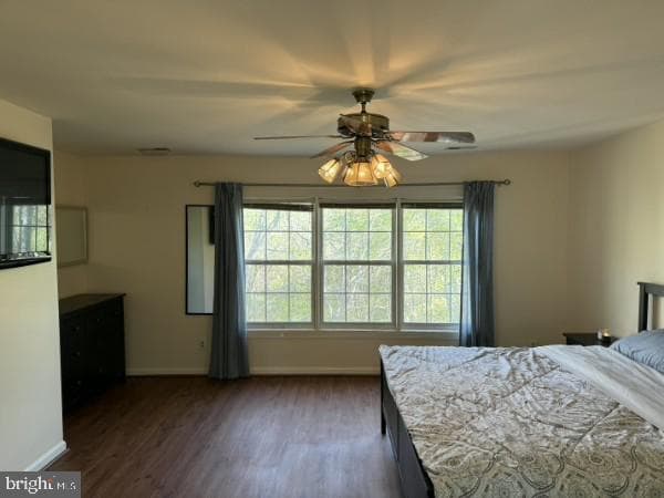 5 Murray Circle photo 19