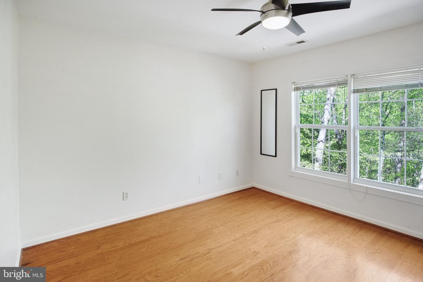 5 Murray Circle photo 23