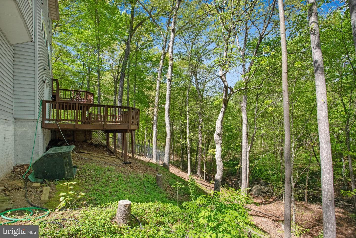 5 Murray Circle photo 34