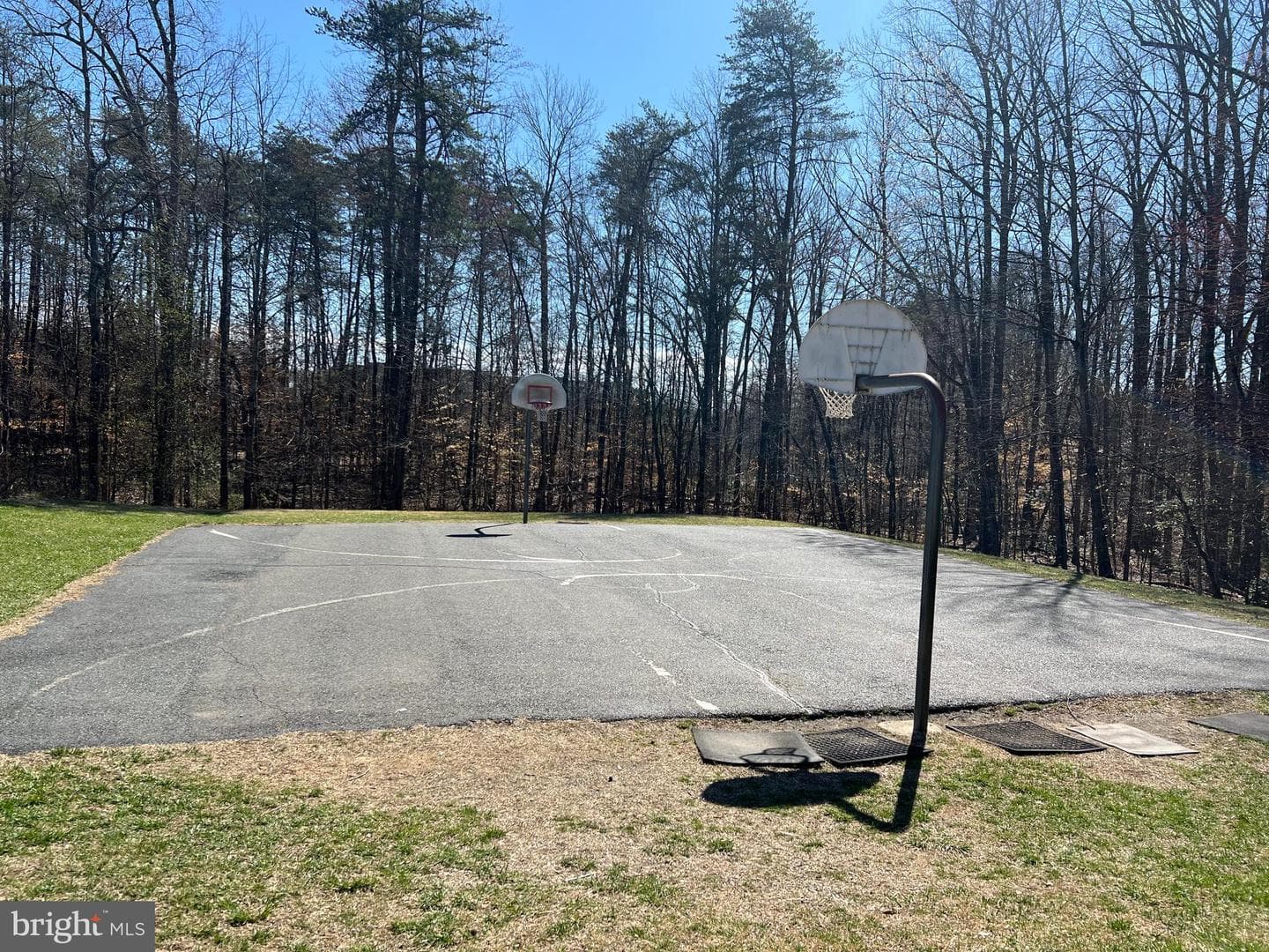 7 Wexwood Court photo 76