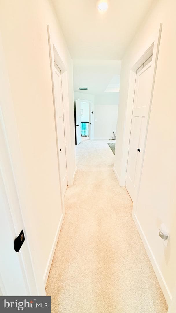 103 Lake Bluff Court photo 47