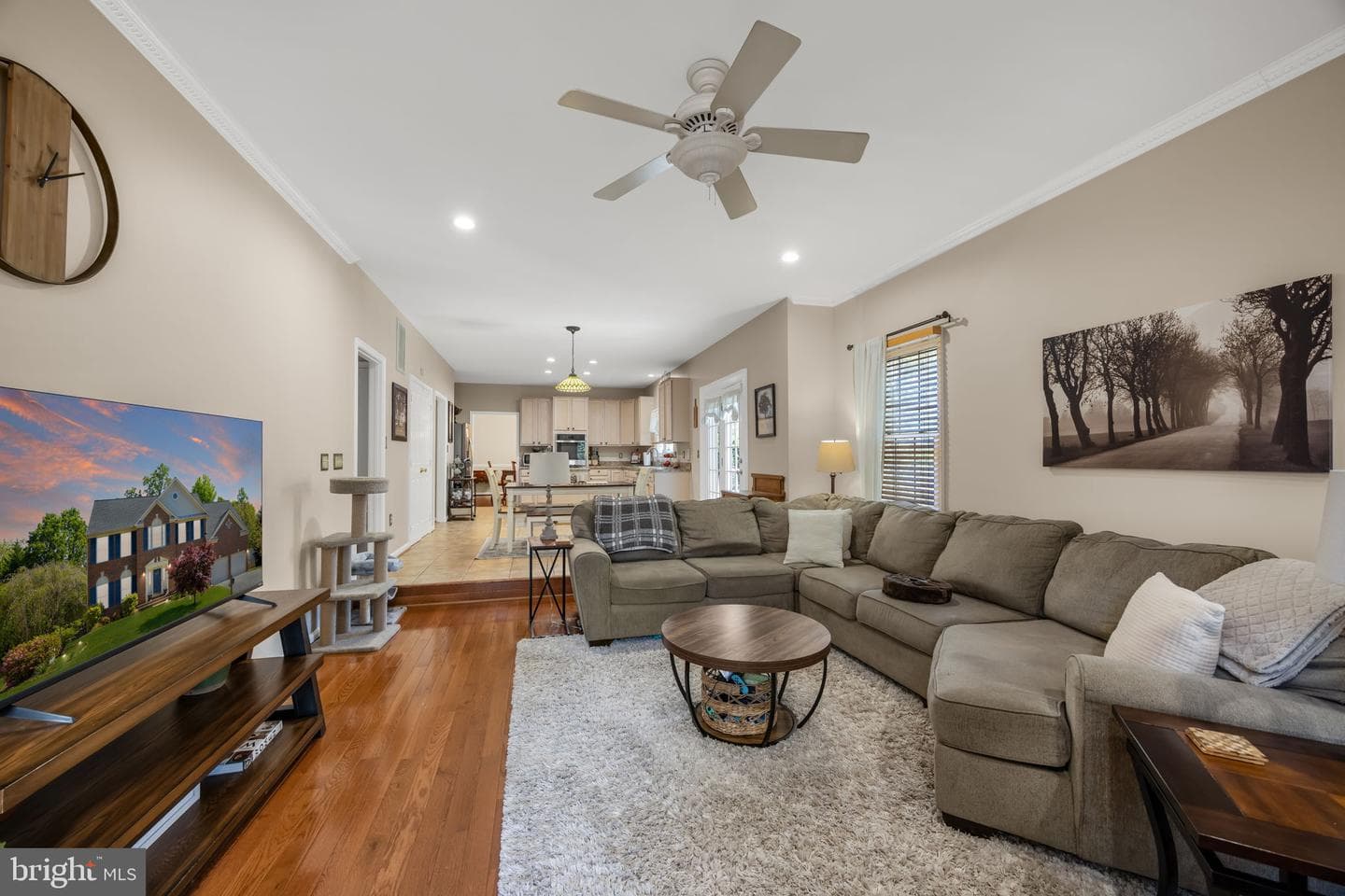 21 Northampton Boulevard photo 15