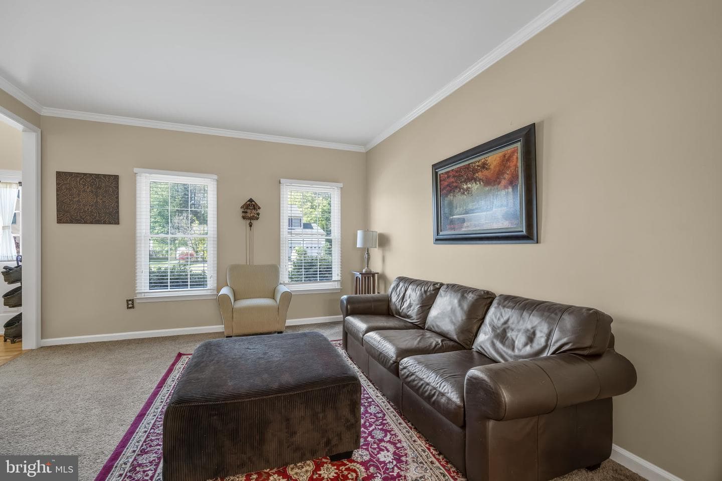 21 Northampton Boulevard photo 18