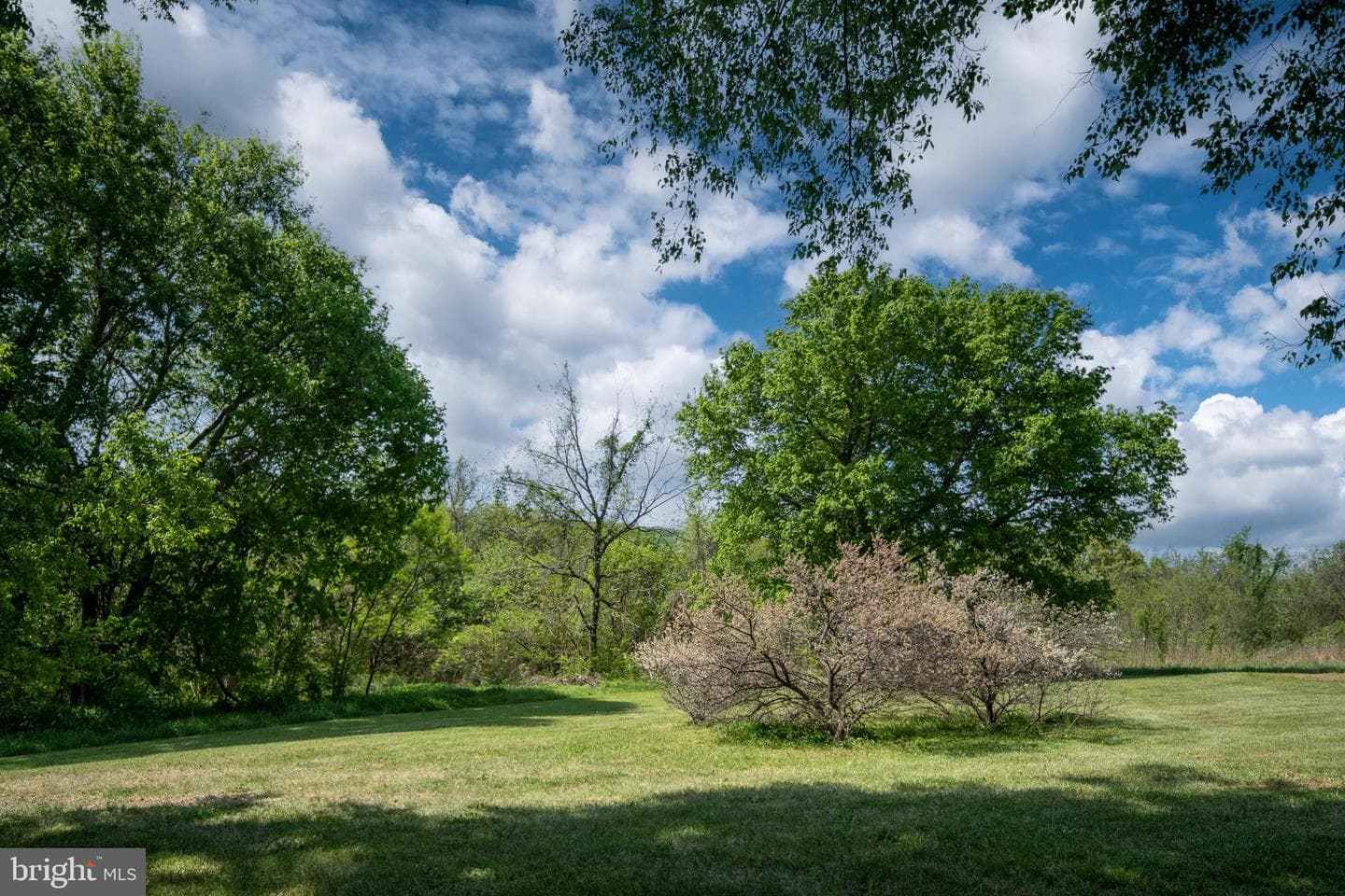 1432 Kings Highway photo 102