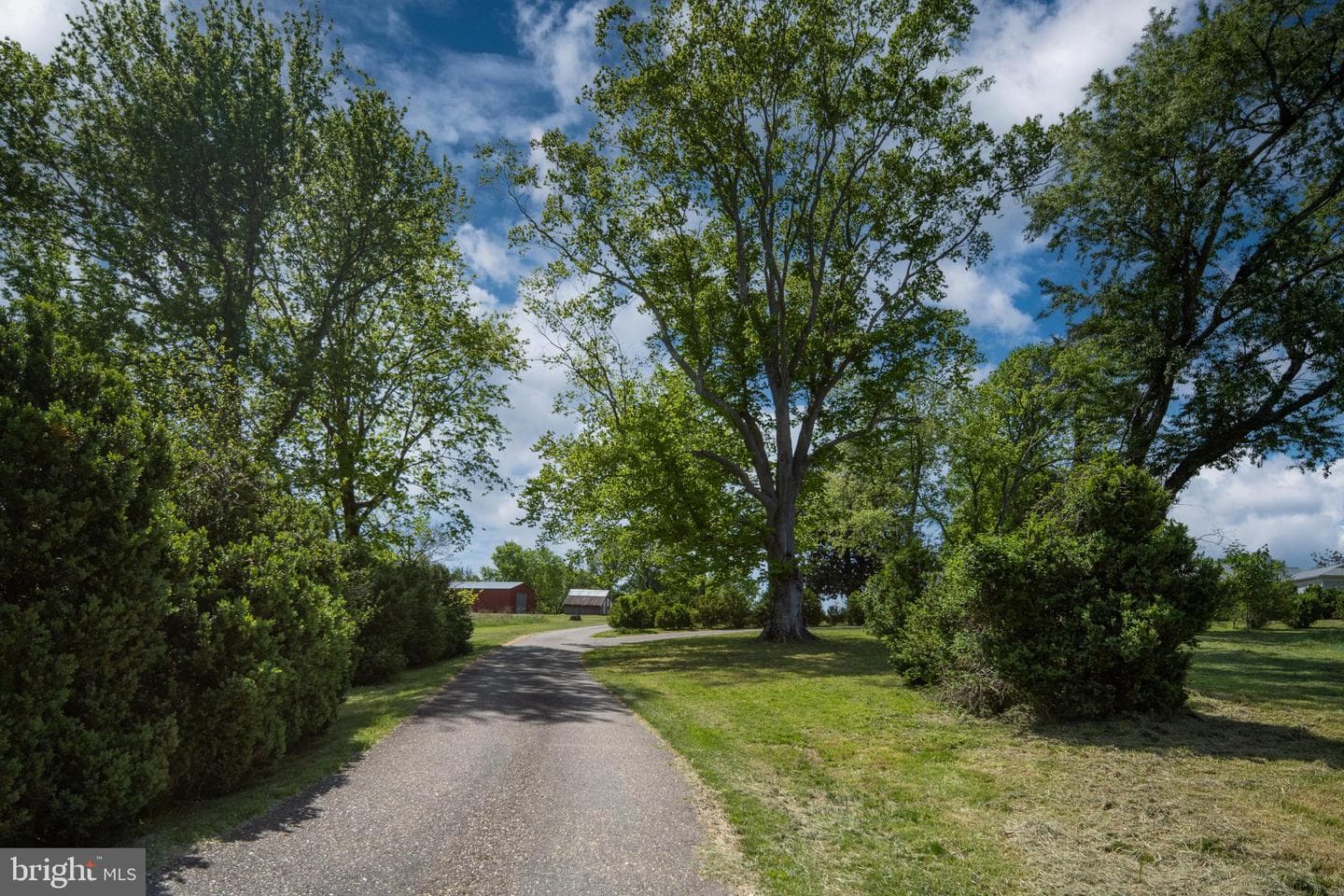 1432 Kings Highway photo 21