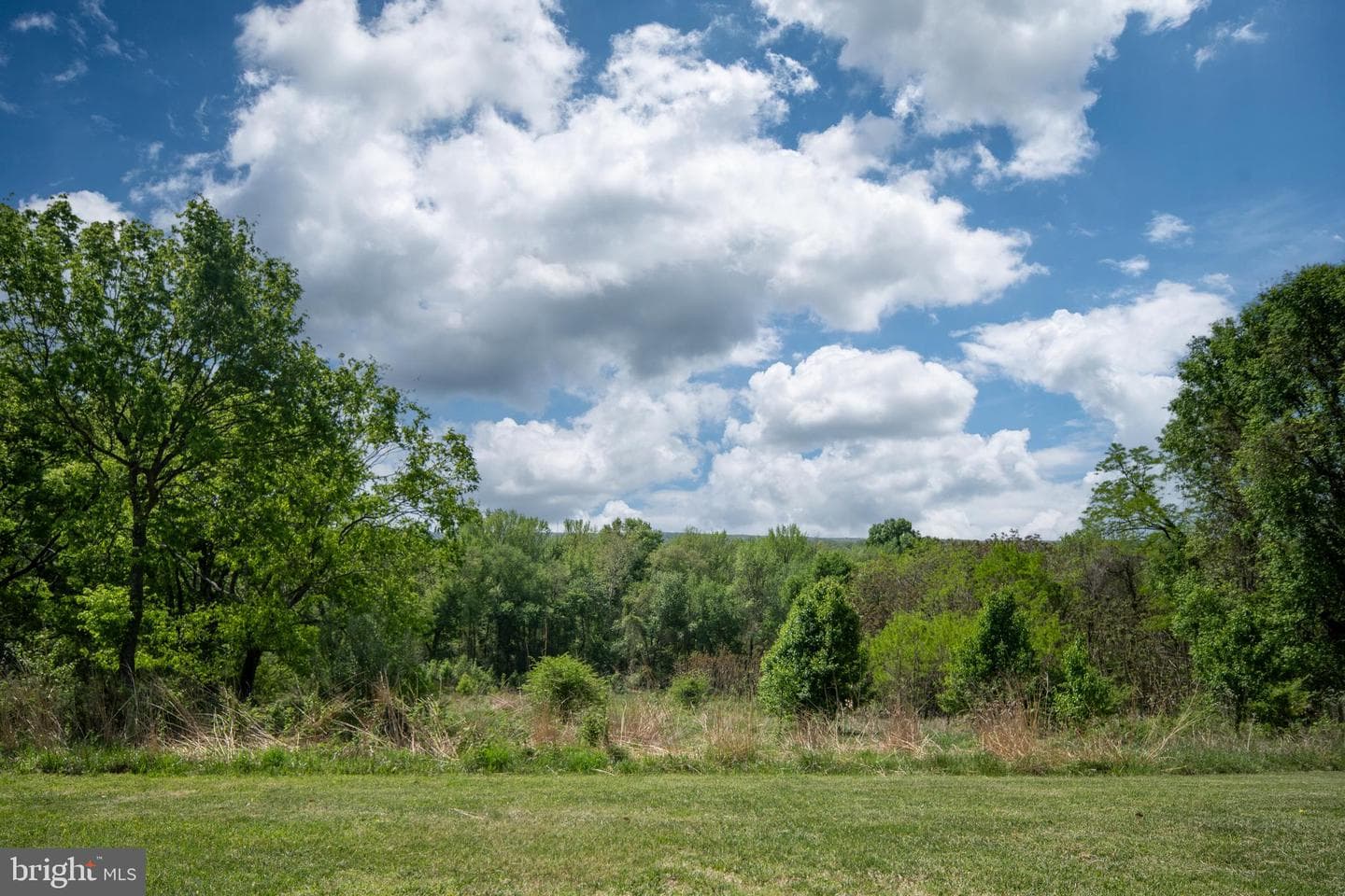 1432 Kings Highway photo 30