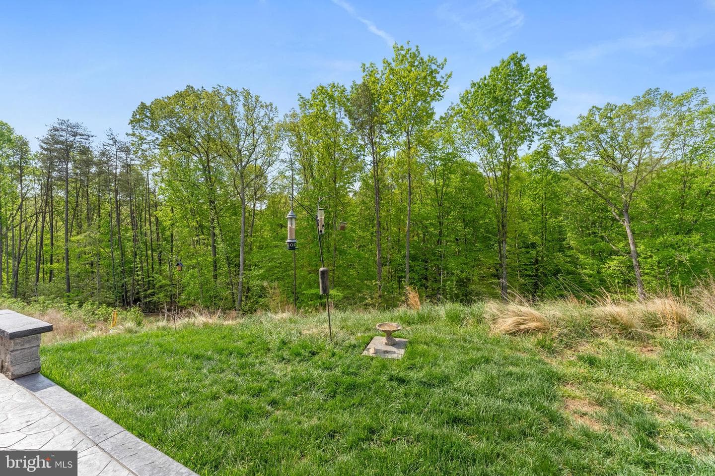 164 Mistflower Court photo 46
