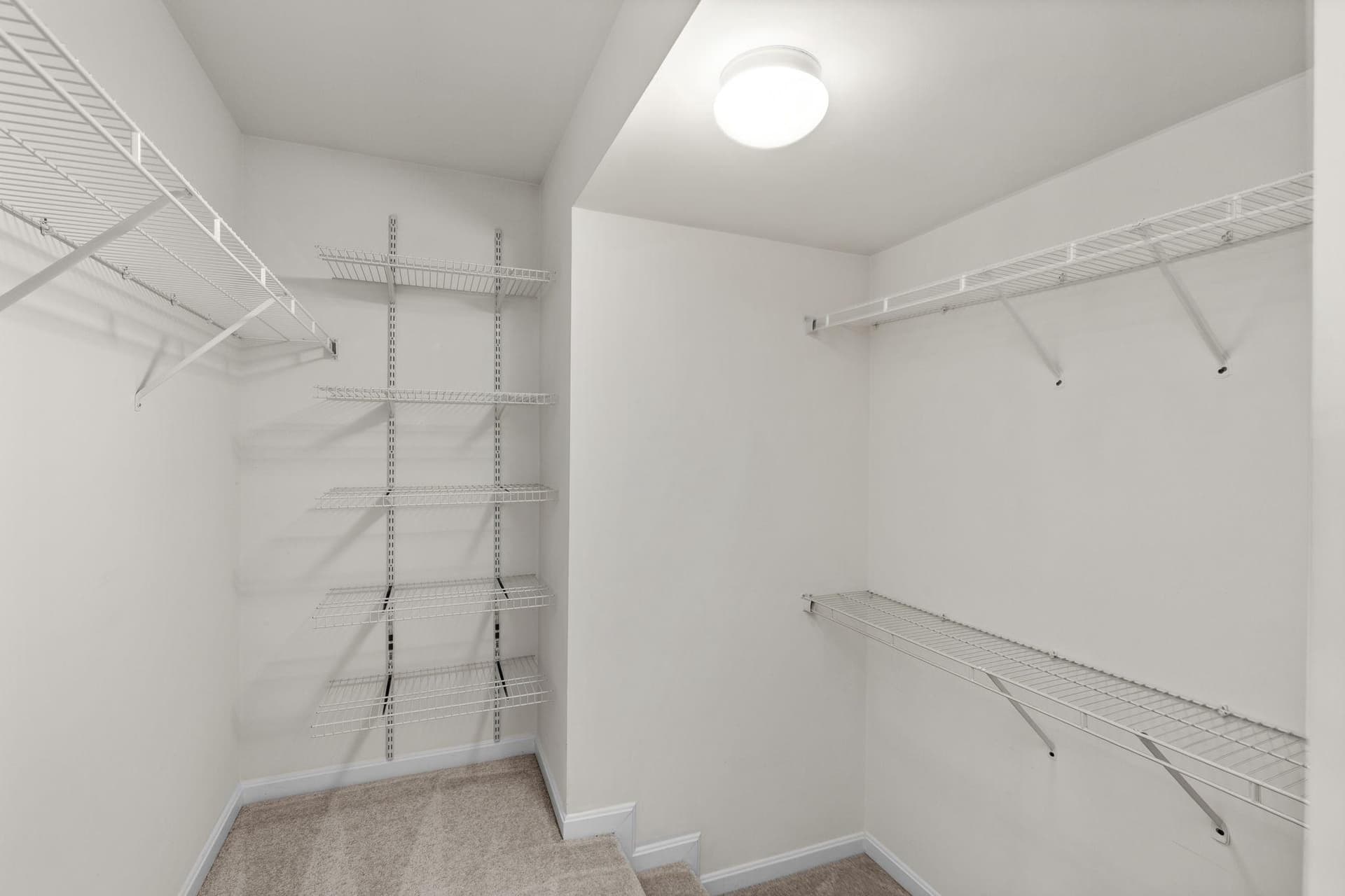 43 Adrian Way photo 53