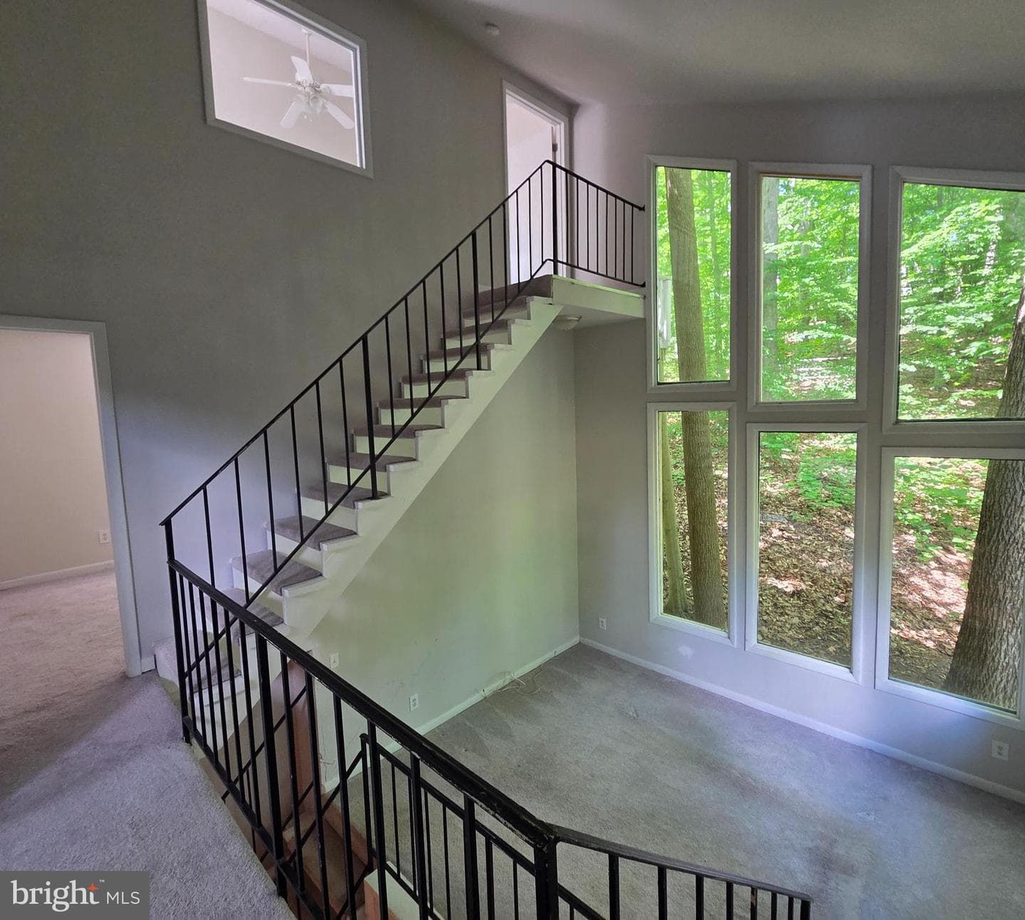 107 Nina Cove photo 16