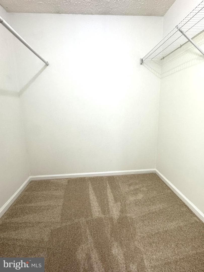 204 Barksdale Place photo 33