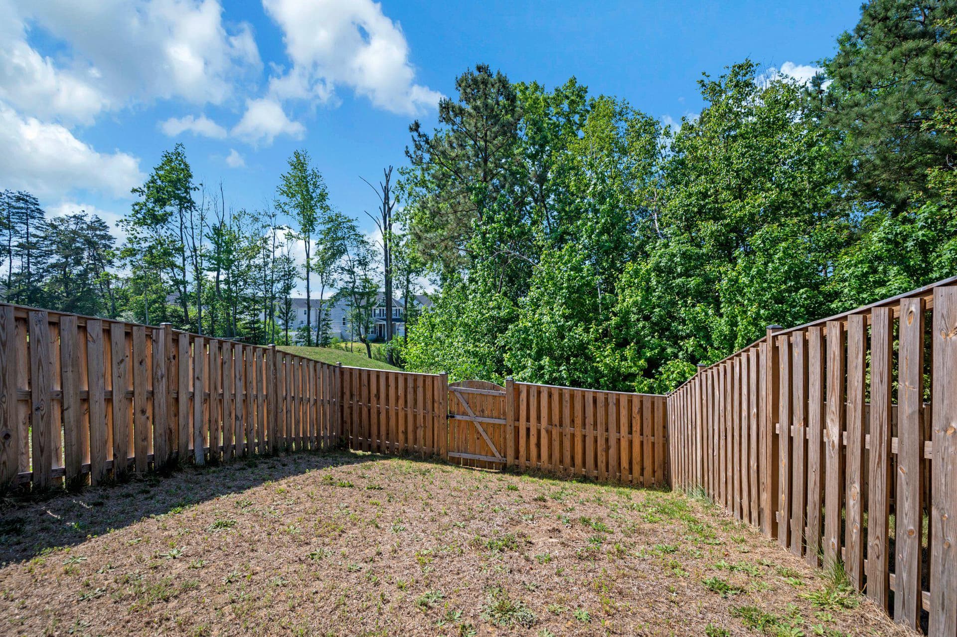 429 Snowberry Lane photo 40