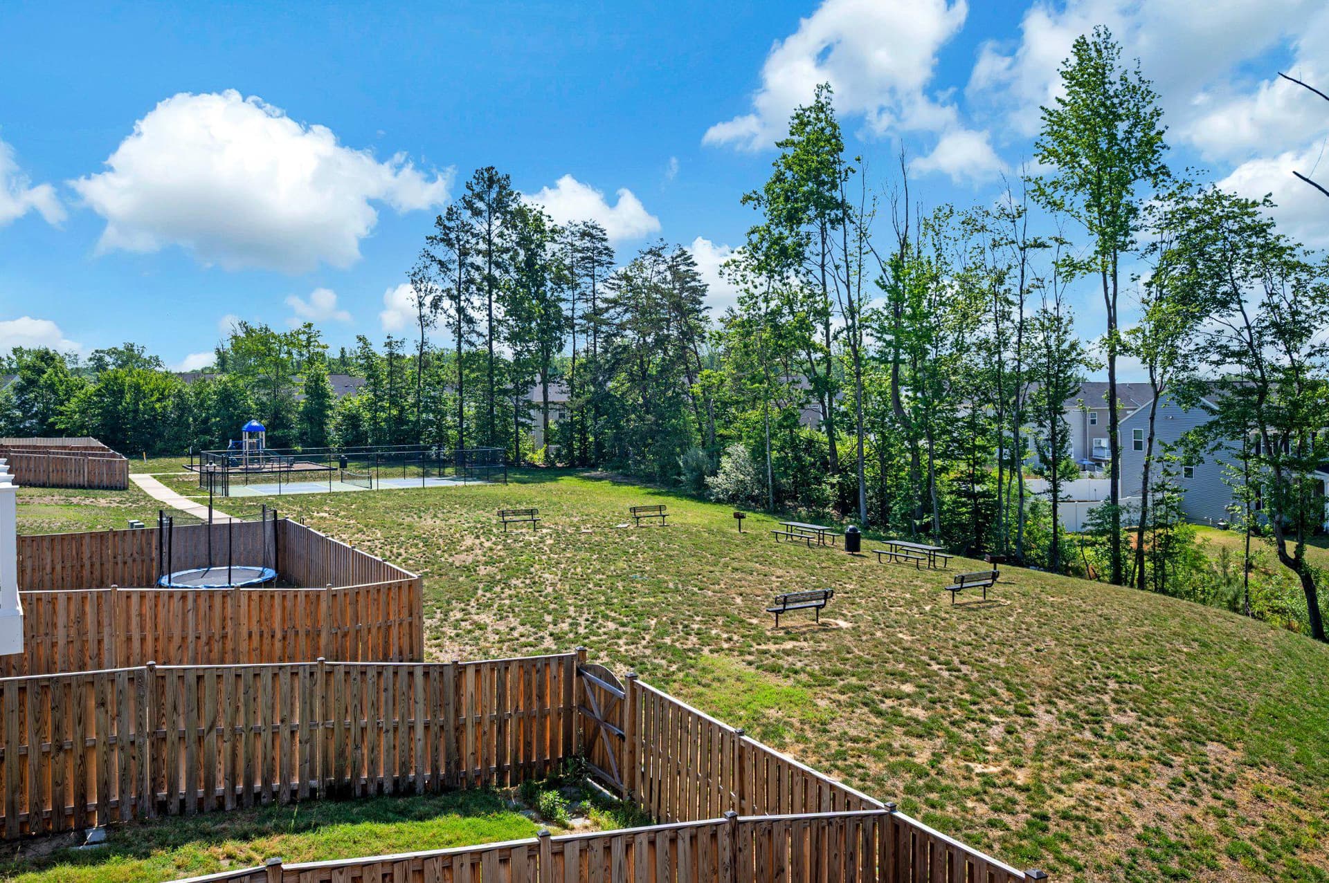429 Snowberry Lane photo 41