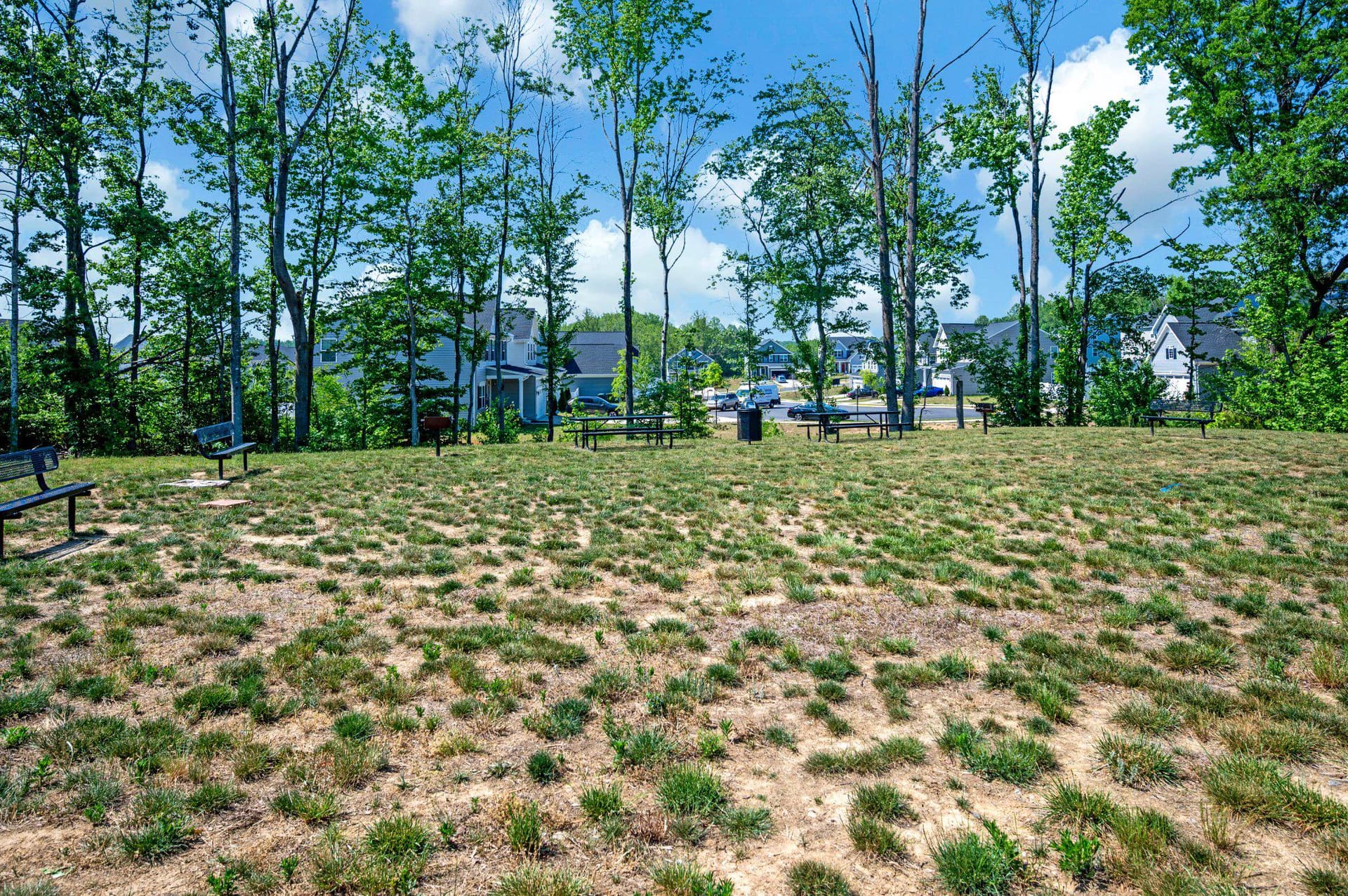 429 Snowberry Lane photo 46
