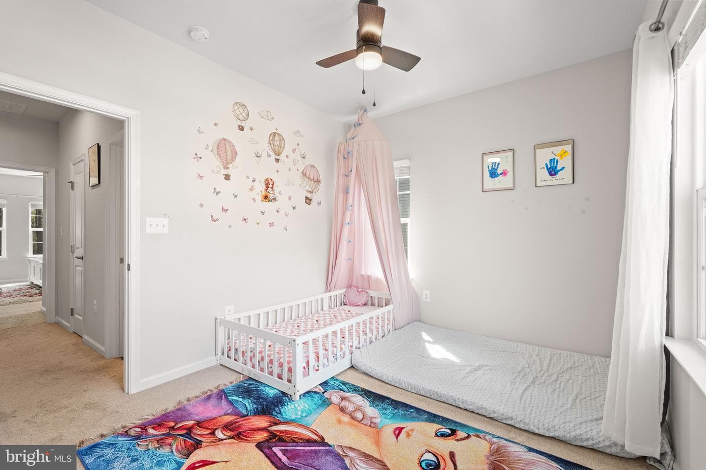 527 View Point Way photo 17