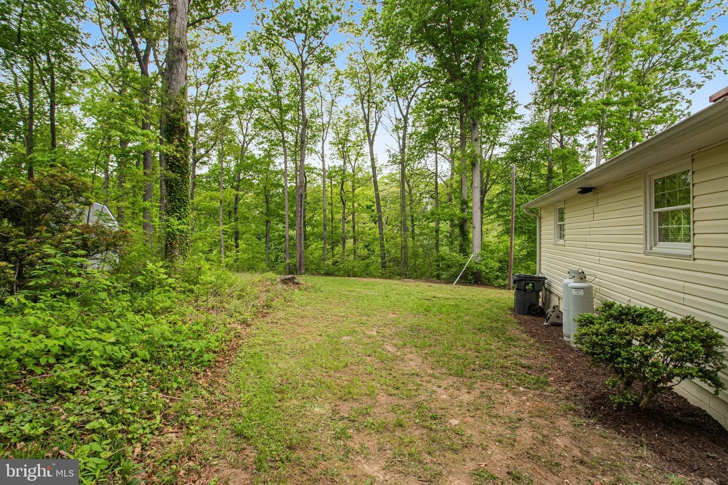 1047 Lakeview Drive photo 3