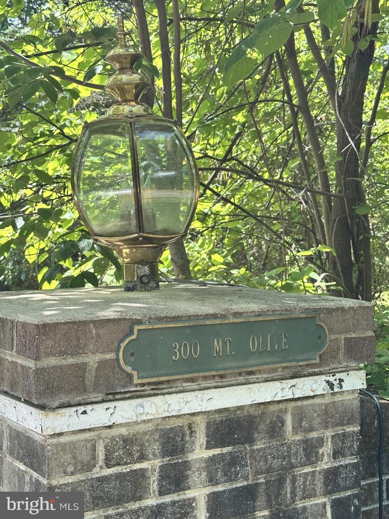 300 Mount Olive Road photo 17