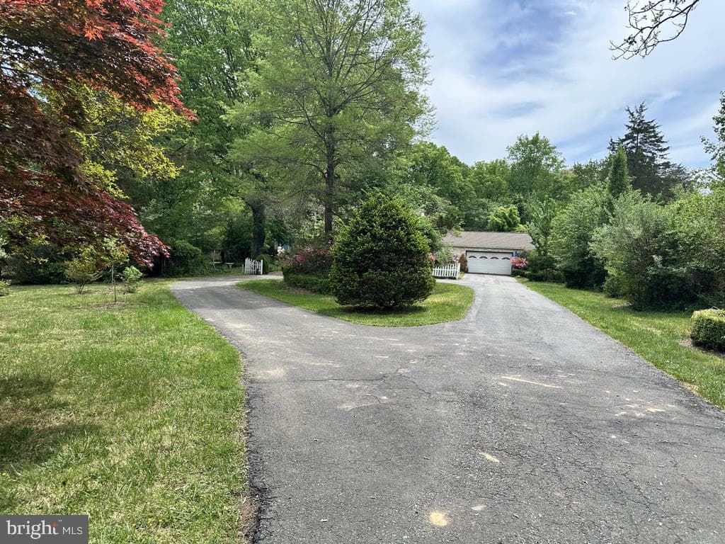 300 Mount Olive Road photo 20