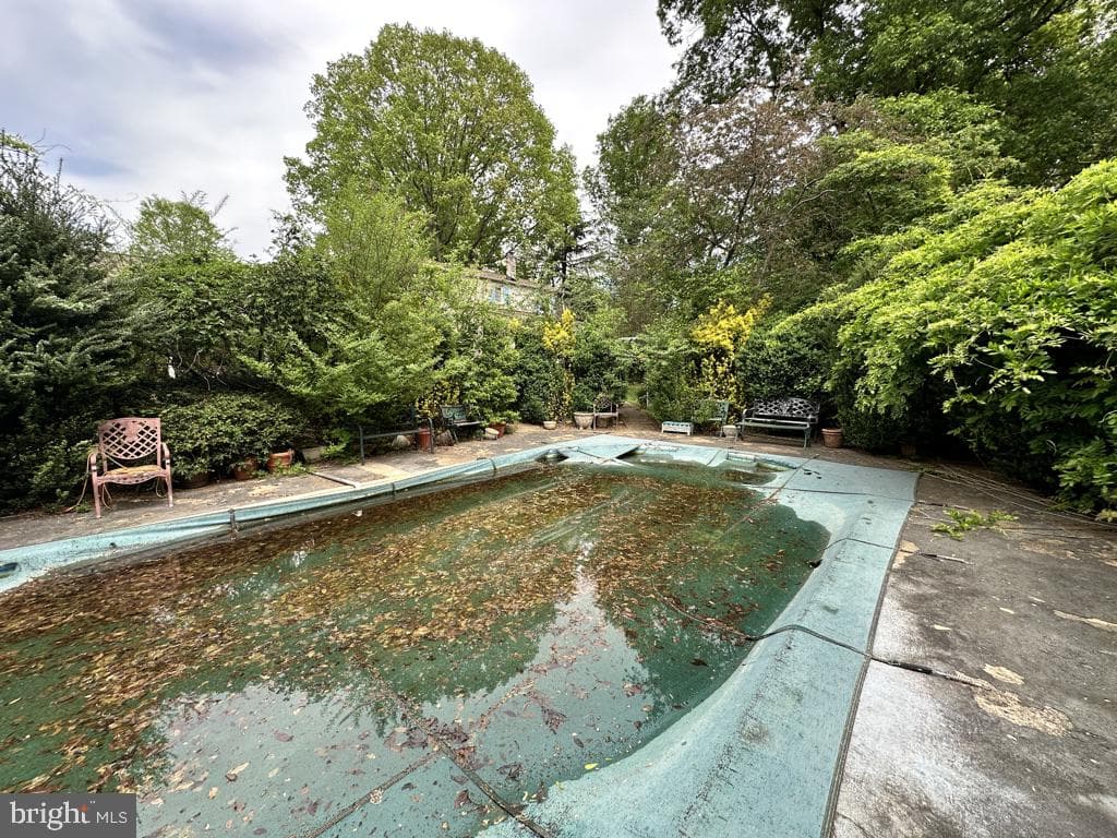 300 Mount Olive Road photo 46