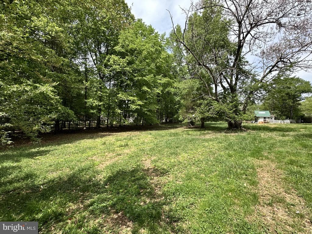 300 Mount Olive Road photo 49