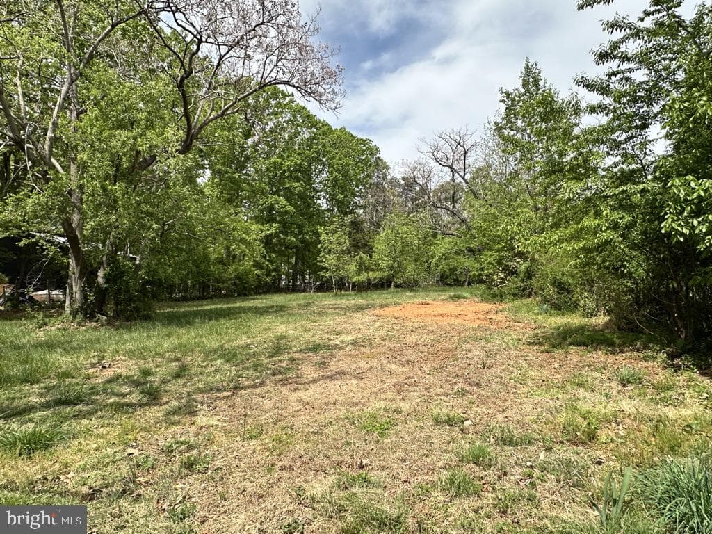 300 Mount Olive Road photo 50