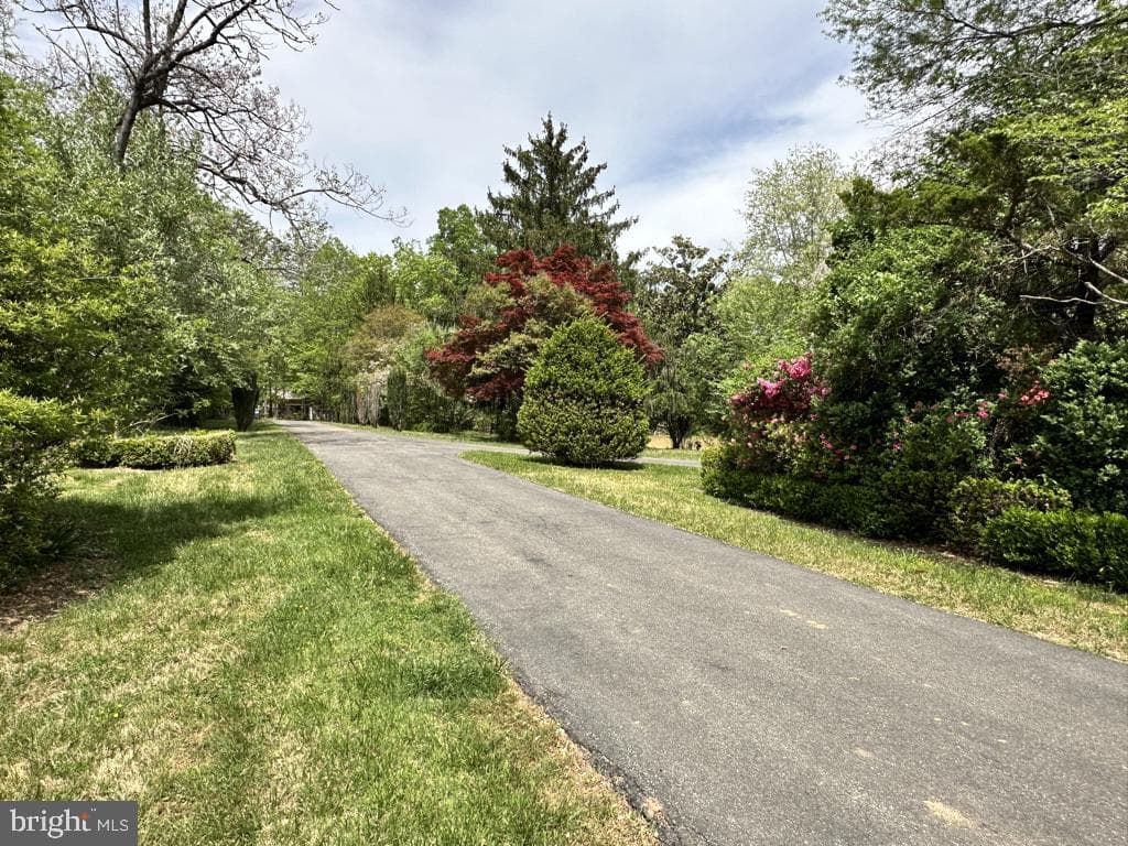 300 Mount Olive Road photo 51