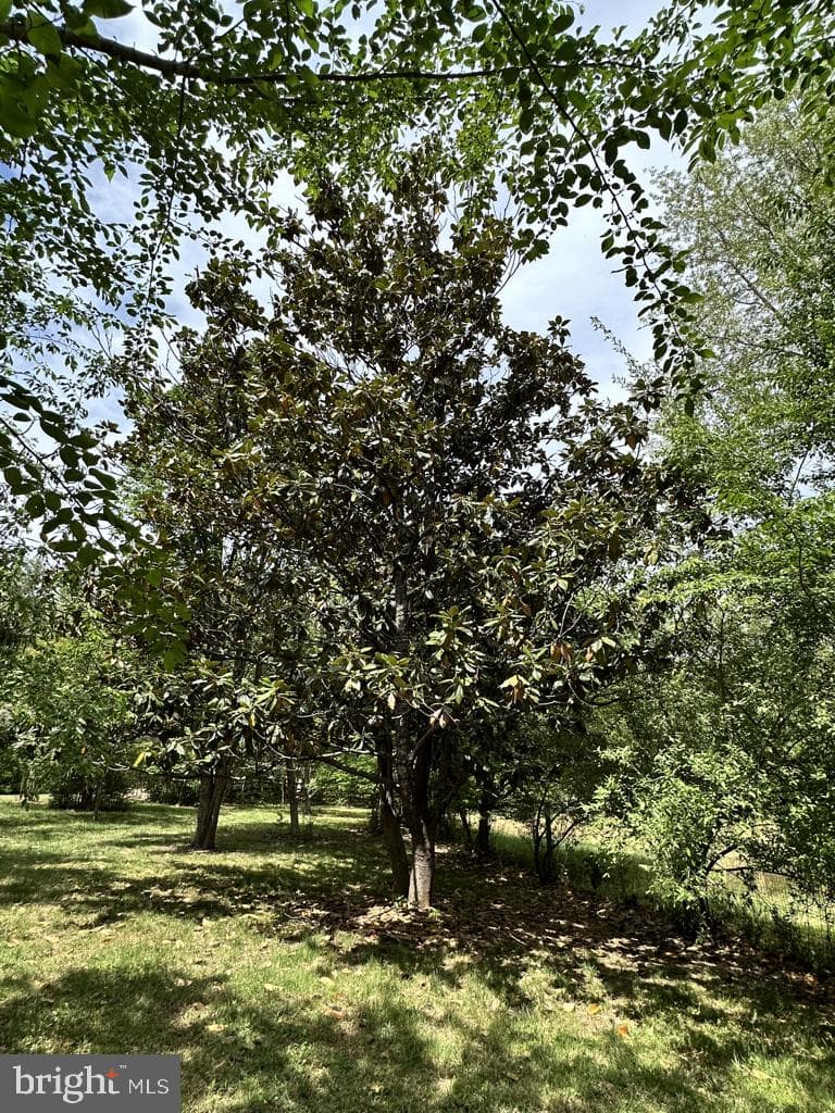 300 Mount Olive Road photo 52