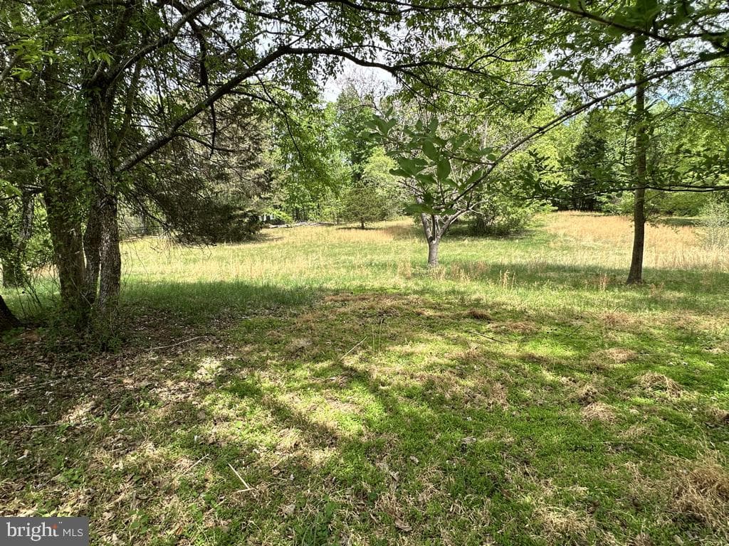 300 Mount Olive Road photo 54