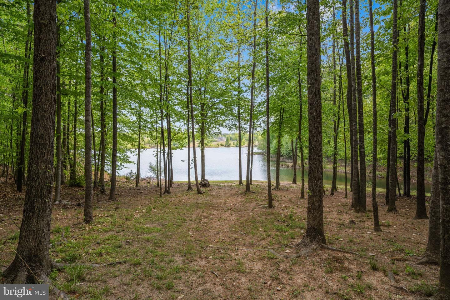 6 Sagewood Court photo 60