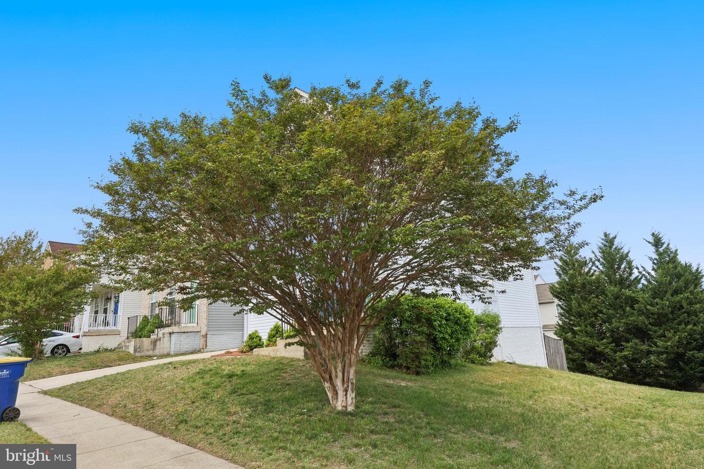 117 Holmes Street photo 33