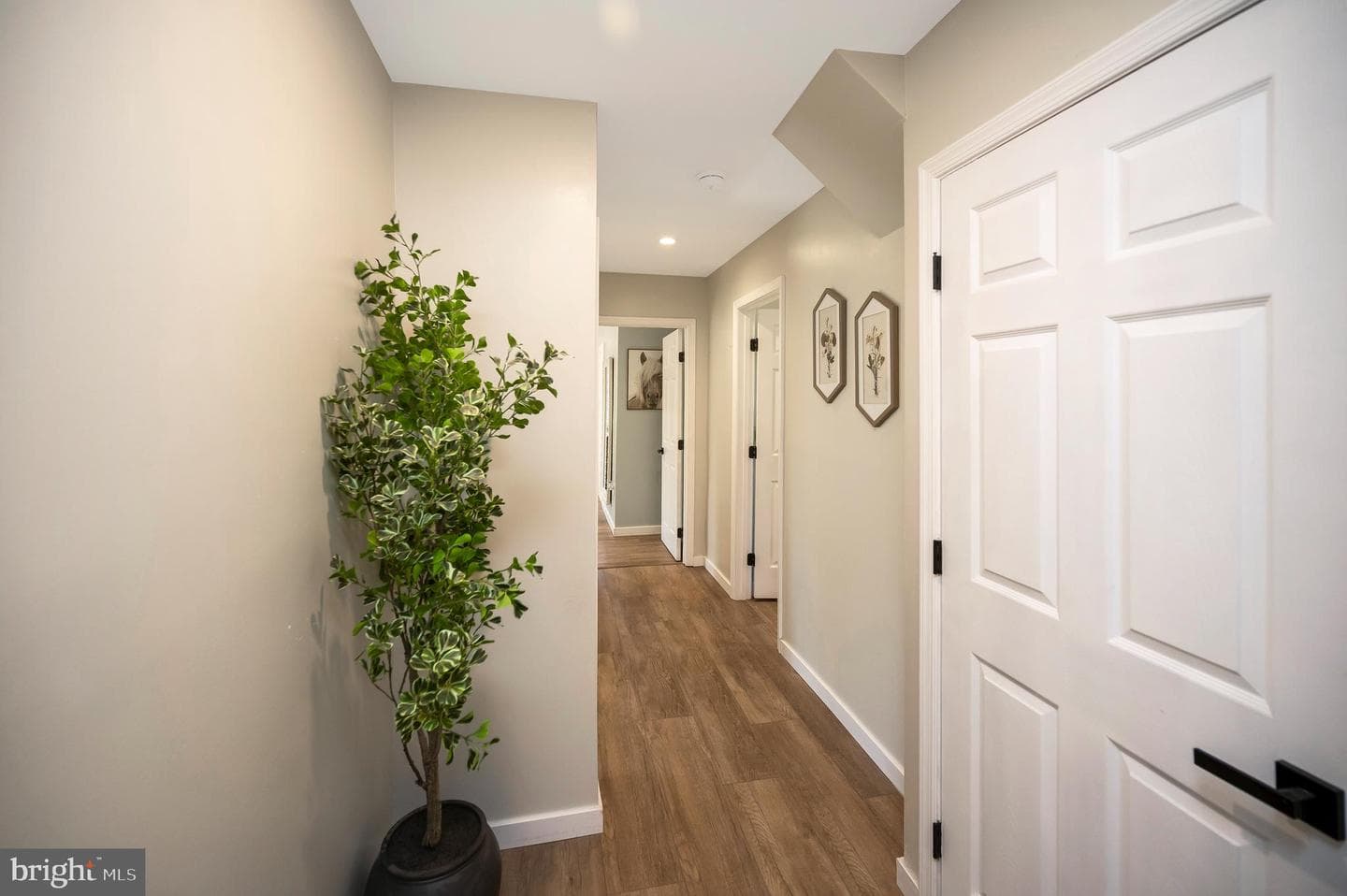 329 Mount Olive Road photo 32