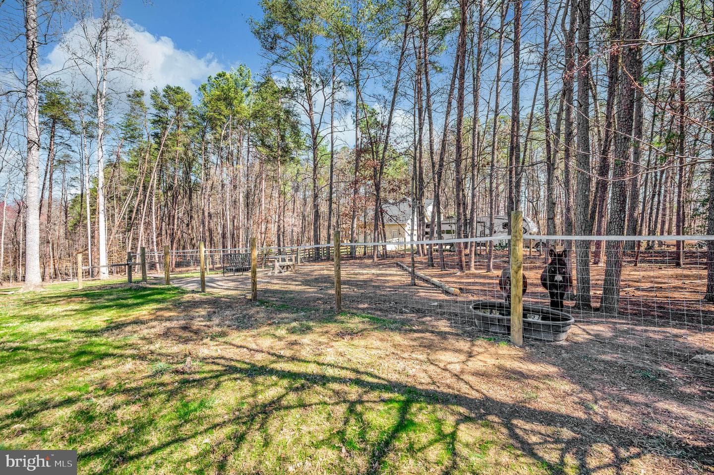 329 Mount Olive Road photo 53