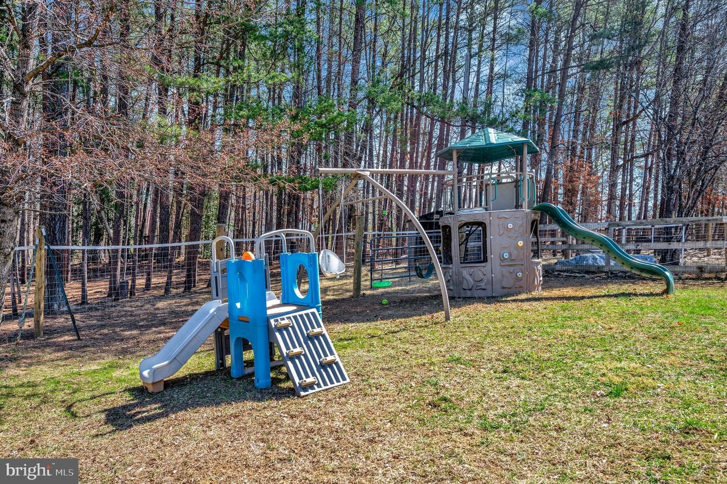 329 Mount Olive Road photo 61