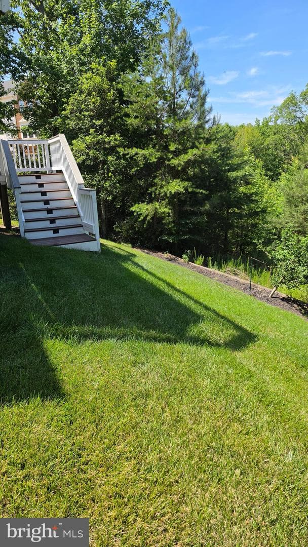 18 Farmview Drive photo 6