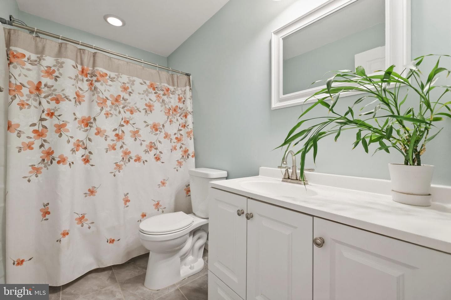 19 Hopkins Branch Way photo 43